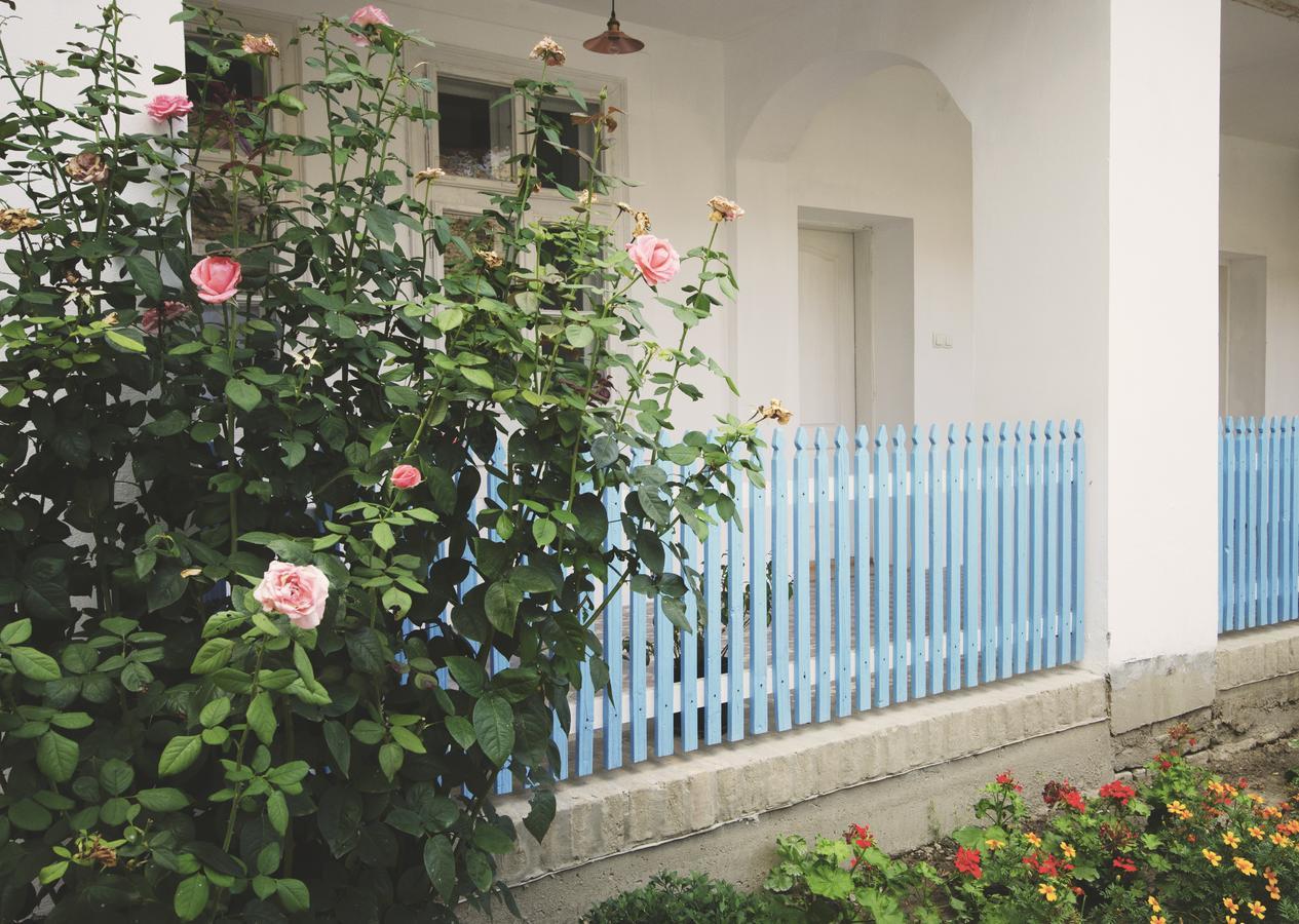 Bed and Breakfast Ethno&Coffee House Tulip à Glozan Extérieur photo